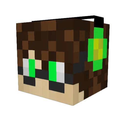 montake369 Minecraft avatar head, 3D render
