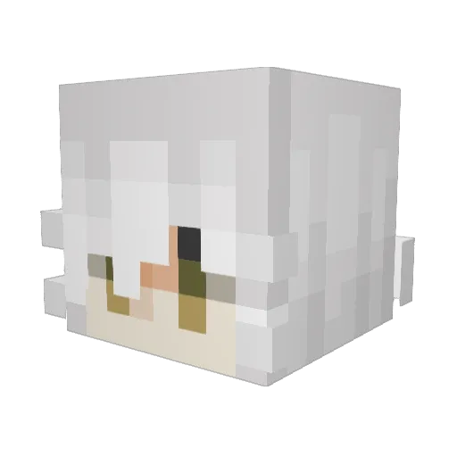 monus Minecraft avatar head, 3D render