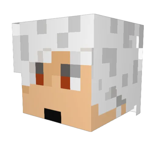 moochbooch Minecraft avatar head, 3D render