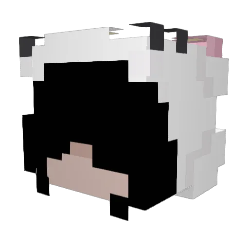 moodyluna360 Minecraft avatar head, 3D render