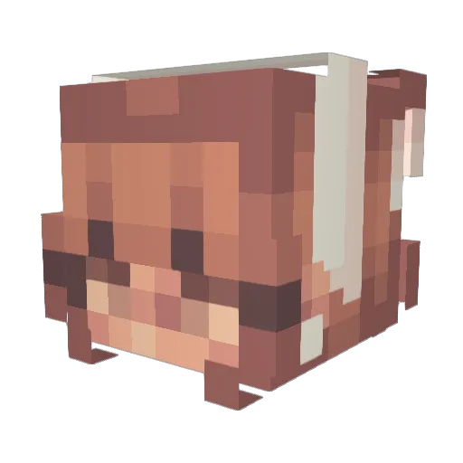 mooie018 Minecraft avatar head, 3D render