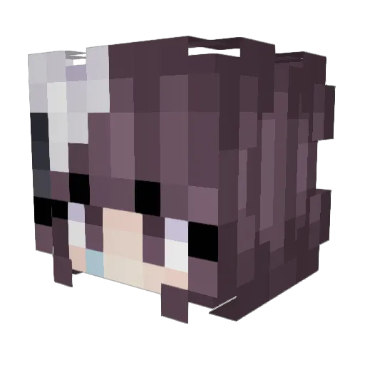 mooielucht Minecraft avatar head, 3D render