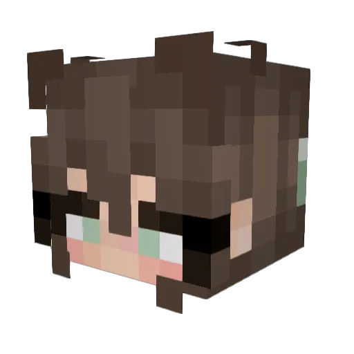 mook1i Minecraft avatar head, 3D render
