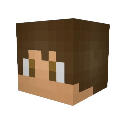 mook_18 Minecraft avatar head, 3D render