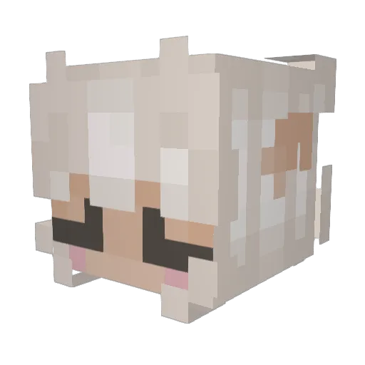 moolly69 Minecraft avatar head, 3D render