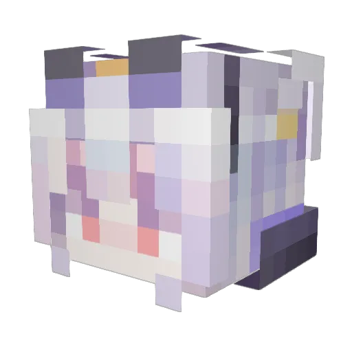 moom216 Minecraft avatar head, 3D render