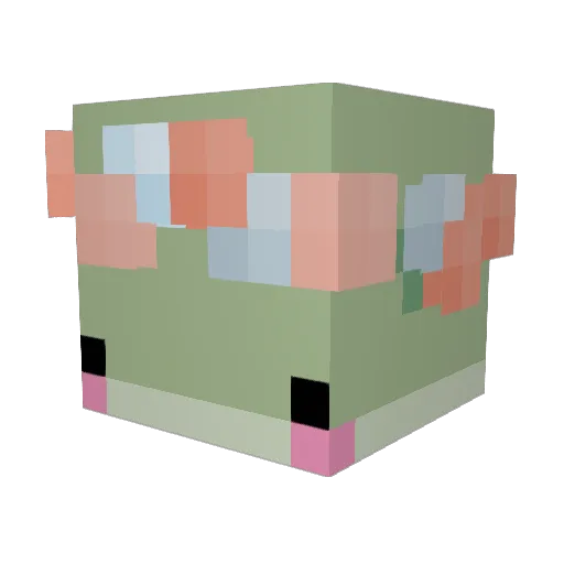 moominsoupy Minecraft avatar head, 3D render