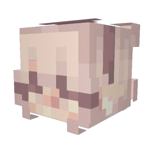 moomoo9545 Minecraft avatar head, 3D render