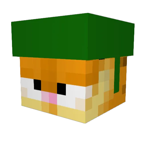 moomoogutz Minecraft avatar head, 3D render