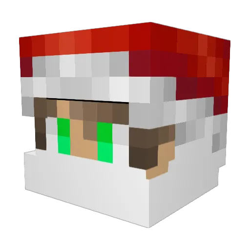 moon_kitties Minecraft avatar head, 3D render