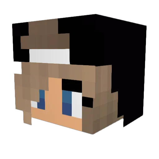 moon_shadow__ Minecraft avatar head, 3D render