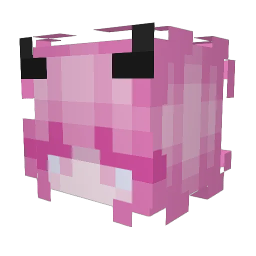 moonbabu Minecraft avatar head, 3D render