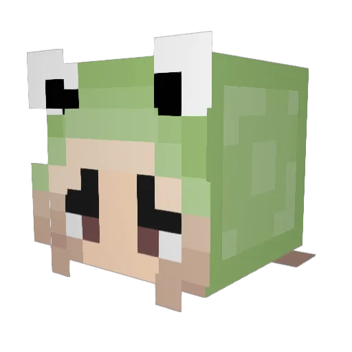 moonbunny325 Minecraft avatar head, 3D render