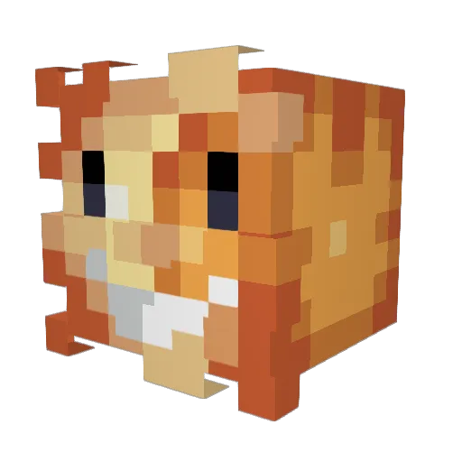 moondropmoon Minecraft avatar head, 3D render