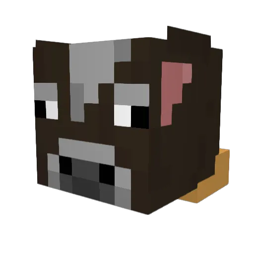 moonerain Minecraft avatar head, 3D render