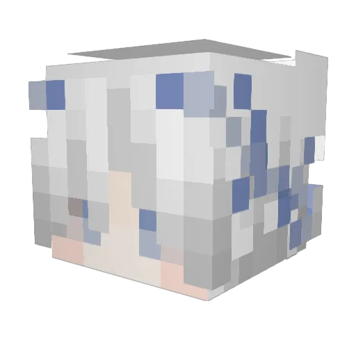 moongzi_ Minecraft avatar head, 3D render