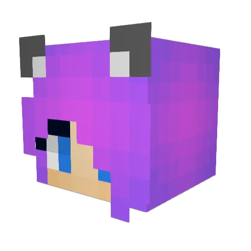 moonhog1 Minecraft avatar head, 3D render
