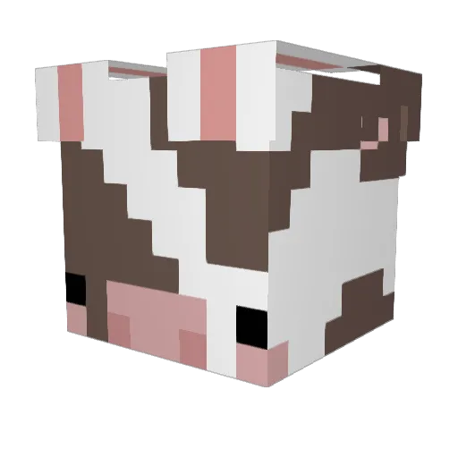 moonlightjellies Minecraft avatar head, 3D render