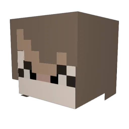 moonlights2999 Minecraft avatar head, 3D render