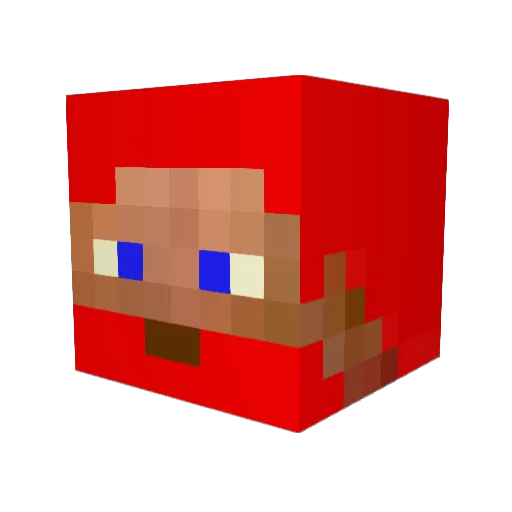 moonpiedumpling Minecraft avatar head, 3D render
