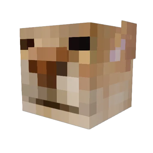 moonsu12345 Minecraft avatar head, 3D render