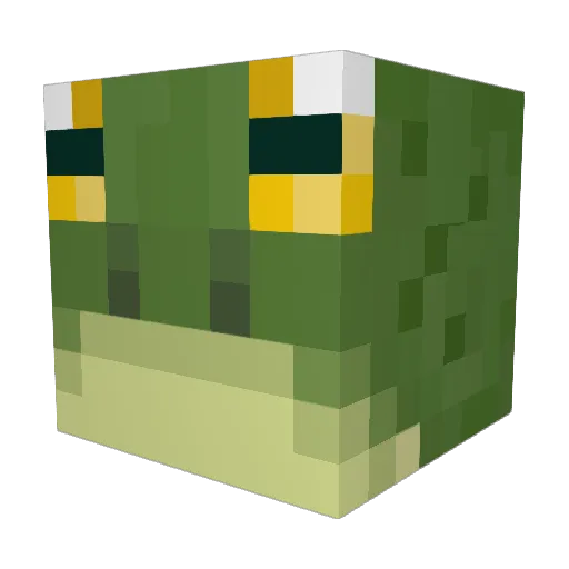moopyboi Minecraft avatar head, 3D render