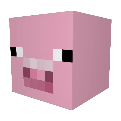 mootpaladin Minecraft avatar head, 3D render