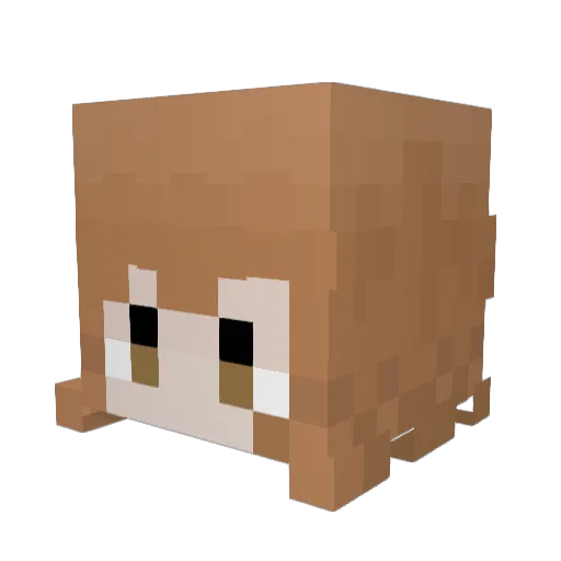 mopcloset Minecraft avatar head, 3D render
