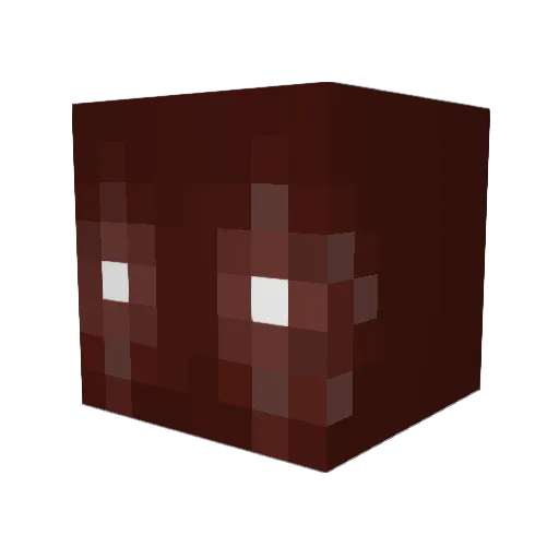 mopflop321 Minecraft avatar head, 3D render