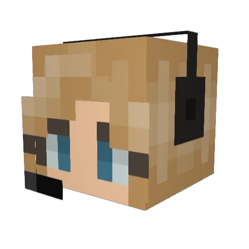moralcalamity Minecraft avatar head, 3D render