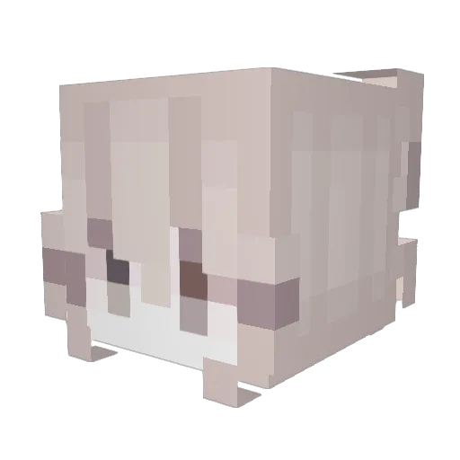morbidvv Minecraft avatar head, 3D render