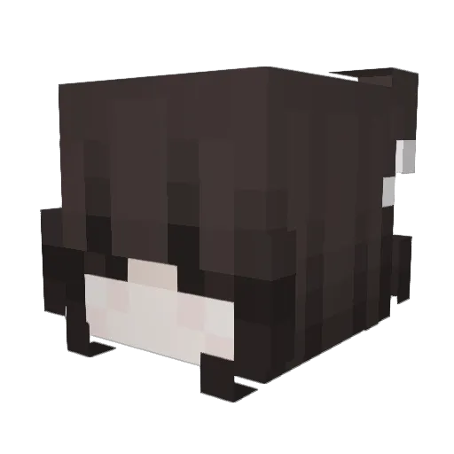 mordecool94 Minecraft avatar head, 3D render