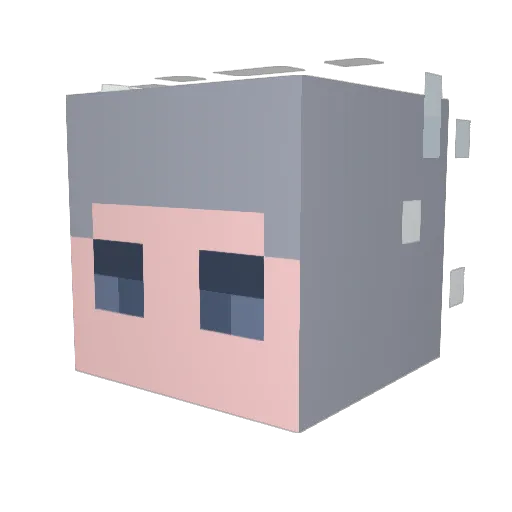 morderca2669 Minecraft avatar head, 3D render