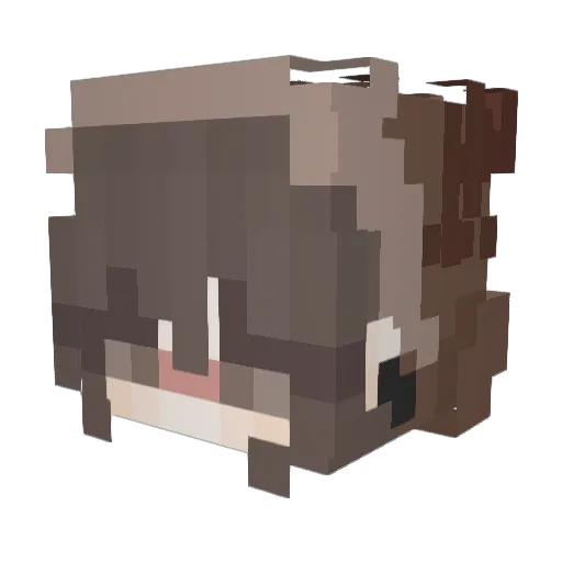 morecositarica Minecraft avatar head, 3D render