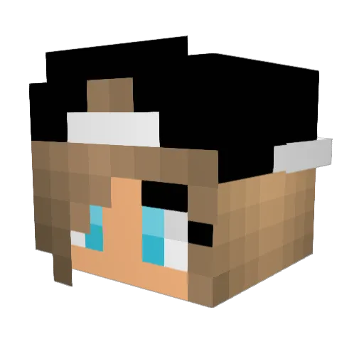 morganedu66 Minecraft avatar head, 3D render