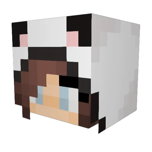 morganh10 Minecraft avatar head, 3D render
