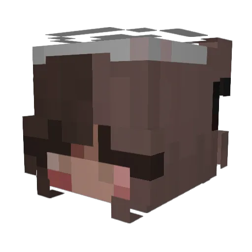 morgarachi Minecraft avatar head, 3D render