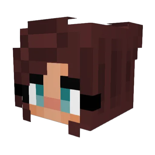 morgonkaffe Minecraft avatar head, 3D render