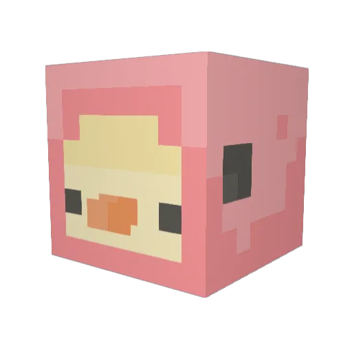 morgrae Minecraft avatar head, 3D render