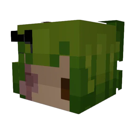 moriiimashuuu Minecraft avatar head, 3D render