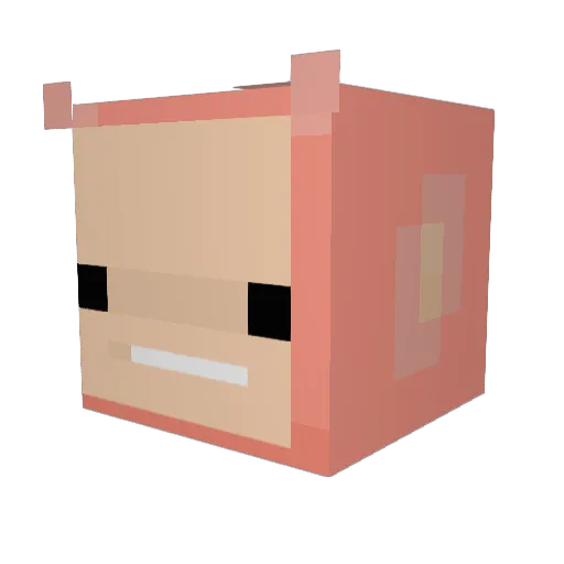 morinbrandon1996 Minecraft avatar head, 3D render