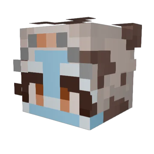 morksphincter Minecraft avatar head, 3D render