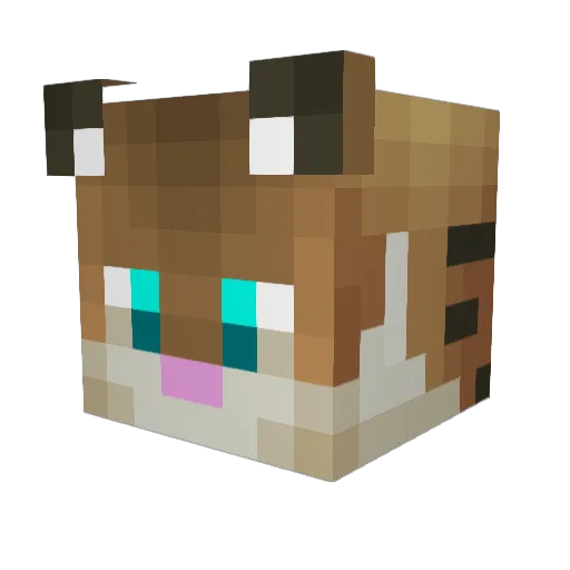 morpher321 Minecraft avatar head, 3D render