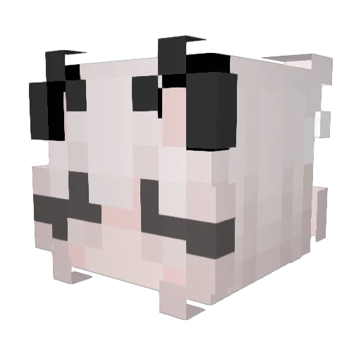 mortifykat Minecraft avatar head, 3D render