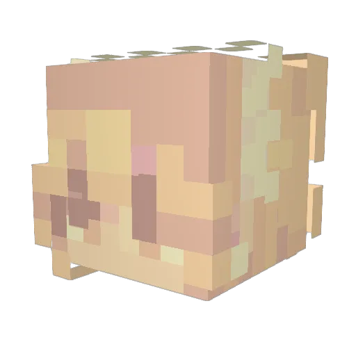 mortymydog Minecraft avatar head, 3D render