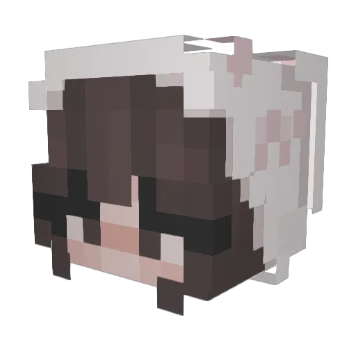 moshbun Minecraft avatar head, 3D render