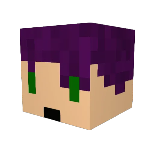 moshed4more Minecraft avatar head, 3D render