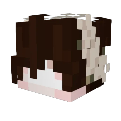 mossfroggg Minecraft avatar head, 3D render