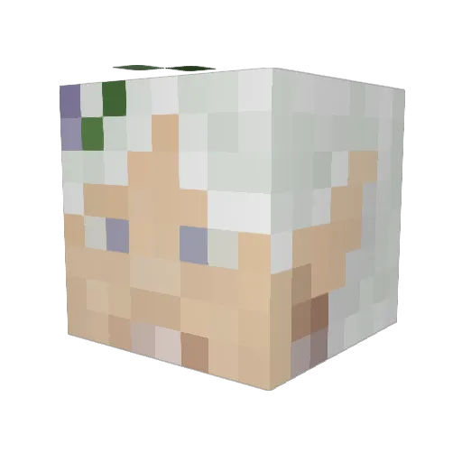 mossmohh Minecraft avatar head, 3D render