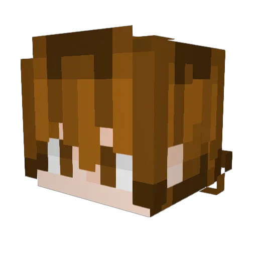 mossyquill Minecraft avatar head, 3D render